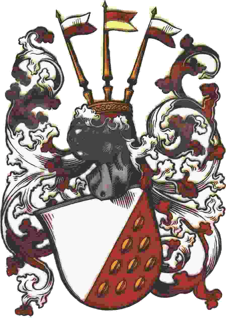 Das Wappen der Familie von Wartenberg: ein gespaltener Schild, rechts Silber, links Rot mit goldenen Körnern, darüber ein Helm mit Krone und drei Fähnlein, umgeben von rot-silberner Helmdecke.