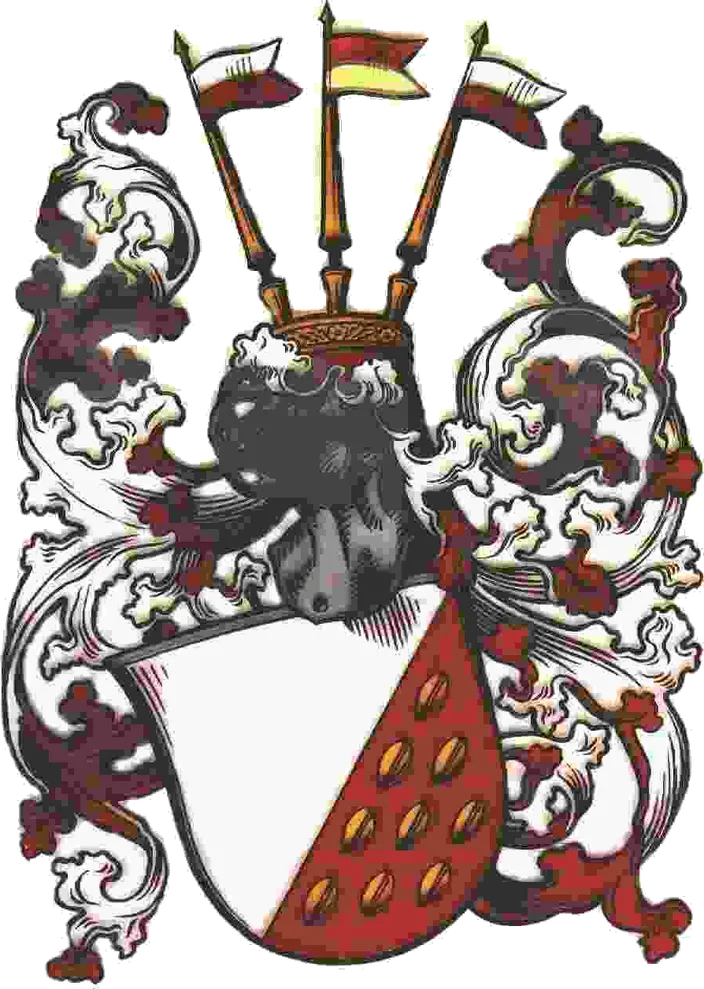 Das Wappen der Familie von Wartenberg: ein gespaltener Schild, rechts Silber, links Rot mit goldenen Körnern, darüber ein Helm mit Krone und drei Fähnlein, umgeben von rot-silberner Helmdecke.